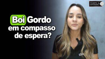 Boi gordo em compasso de espera? Isabella Camargo comenta o mercado