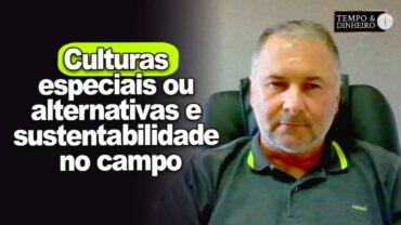 Culturas especiais ou alternativas e sustentabilidade no campo, explica Leandro Lodea, da Proventus