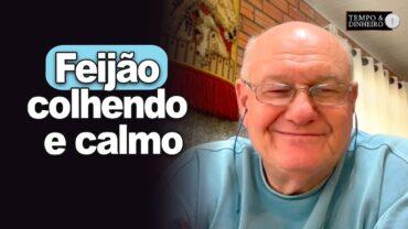 Feijão colhendo e calmo, explica Brandalizze