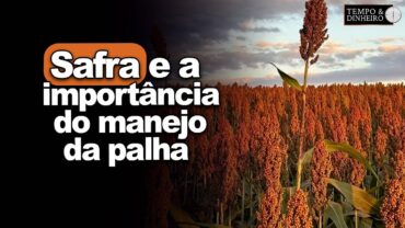Safra e importância do manejo da palha para plantio posterior, orienta Alexandre Gazolla