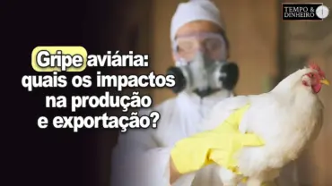 Gripe aviária no Brasil: impactos na produção e exportação. Vlamir Brandalize comenta