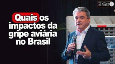 Ricardo Santin, da ABPA, fala sobre impactos da gripe aviária no Brasil