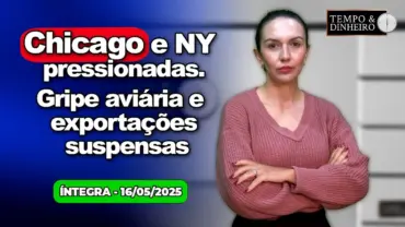 Chicago e NY pressionadas. Petróleo sobe. Gripe aviária e exportações suspensas. Chuvas nos extremos