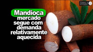 Mandioca: após feriado mercado segue com demanda relativamente aquecida, informa Fábio Isaías Felipe