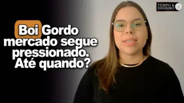 Boi gordo: mercado segue pressionado. Até quando? Isabella Zavatti , do CEPEA, comenta