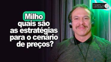 Milho: quais são as estratégias para o atual cenário de preços? Robson Polotto, da GETREIDE explica