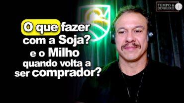 Milho: quando o mercado volta a ser comprador? O que fazer com a soja? Robson Polloto comenta