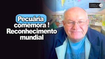 Pecuária comemora! Novos preços e mercados com reconhecimento mundial sobre aftosa