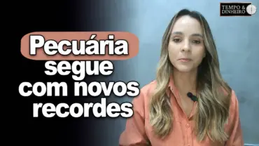 Pecuária segue com novos recordes informa Isabella Camargo