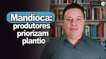 Mandioca: produtores priorizam plantio, informa Fábio Isaías Felipe, do CEPEA