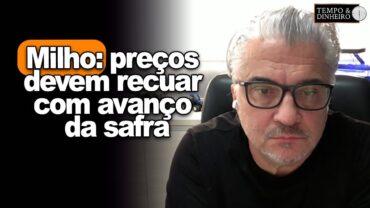 Milho: preços devem recuar com avanço da safra. Consumidores tranquilos