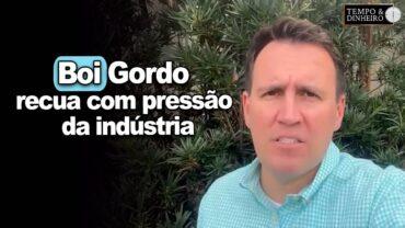 Boi gordo recua com pressão da indústria e pico de oferta, informa Thiago Bernardino do CEPEA