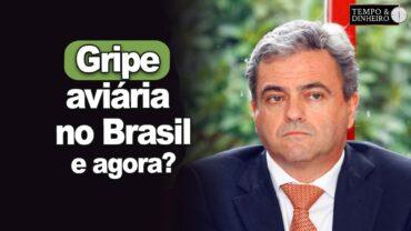 Gripe aviária no Brasil: Ricardo Santin, da ABPA fala sobre a mobilização do setor