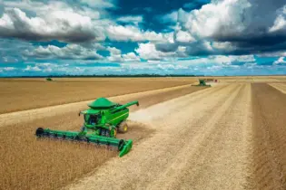 Soja pegando carona no Petróleo e China