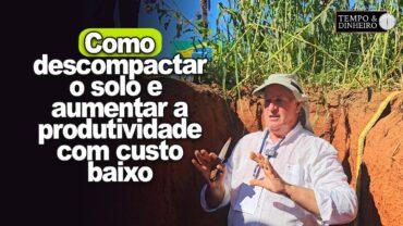 Pesquisador Ademir Calegari defende o uso de plantas para romper solos compactados