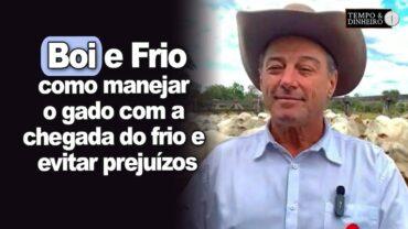 Como manejar e suplementar o gado com a chegada do frio e evitar prejuízos com queda de peso?