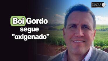 Boi gordo segue “oxigenado” com redução de animais de pasto e entrada do cocho, informa T. Bernardino