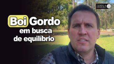 Boi gordo busca de equilíbrio pressionado pela carne, informa Thiago Bernardino do CEPEA