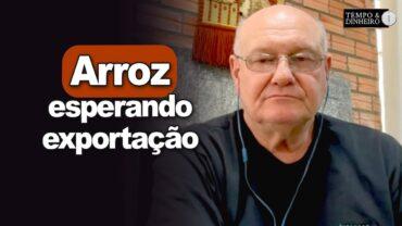 Arroz esperando exportação, Brandalizze comenta