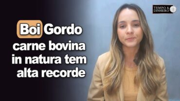 Boi gordo: embarques de carne bovina in natura tem alta recorde para maio, informa Isabella Camargo