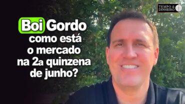 Boi gordo: mercado comprador na abertura desta segunda quinzena de junho, informa Thiago Bernardino