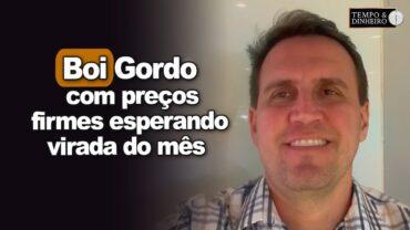 Boi gordo segue com preços firmes para carne e reposição a espera da virada do mês