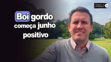 Boi gordo começa junho positivo mas com chegada do frio e redução de animais de pasto