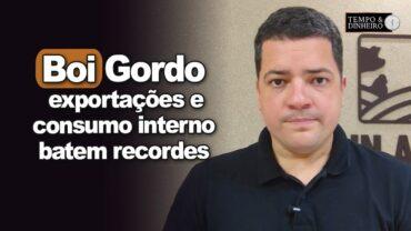 Boi gordo encerra junho de olho nas exportações recordes e consumo interno. Informa Hyberville Neto