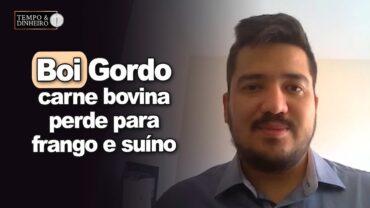Boi gordo: carne bovina tem perda de competitividade com a carne suína e de frango