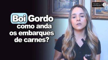 Boi gordo e embarques de carnes vão bem? Isabella Camargo comenta