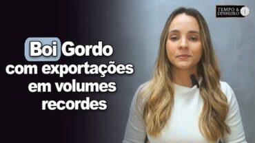 Boi gordo segue com exportações em volumes recordes, informa Isabella Camargo