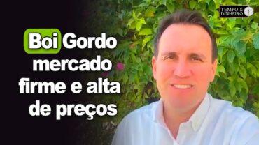 Boi gordo segue com mercado firme e alta de preços, informa Thiago Bernardino, do CEPEA