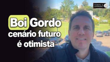 Boi gordo: dificuldade da indústria para comprar machos e cenário futuro é otimista