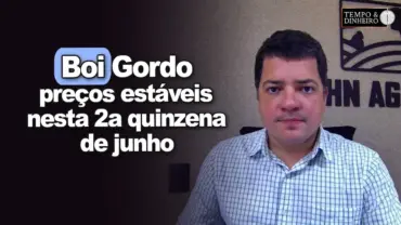 Boi gordo com preços estáveis nesta segunda quinzena de junho, informa Hyberville Neto