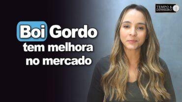 Boi gordo tem melhora no mercado de reposição, informa Isabella Camargo, da HN Agro