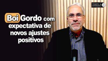 Boi gordo encerra primeira quinzena de junho em alta e com expectativa de novos ajustes positivos