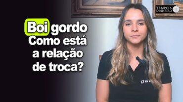 Boi gordo e mercado de reposição. Como está a relação de troca? Isabella Camargo comenta