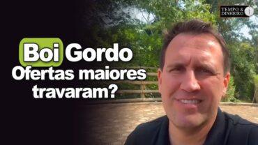 Boi gordo encontrou estabilidade? Ofertas maiores travaram? Saiba com Thiago Bernardino