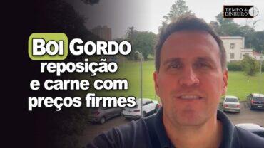 Boi gordo com fêmeas, reposição e carne com preços firmes. Acompanhe a análise de Thiago Bernardino