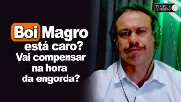 Boi magro está caro? Vai compensar na hora da engorda? Robson Polotto, da Getreide explica o mercado