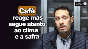Café reage em NY e em Londres, mas segue atento ao clima, safra e atuação de fundos, informa B. Labs