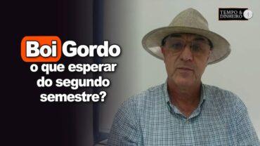 Boi gordo: o que esperar do segundo semestre? Chico Manzi, da ACRIMAT comenta
