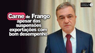Carne de frango tem bom desempenho nas exportações apesar das suspensões, informa R. Santin, da ABPA