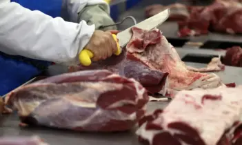 Brasil mantém liderança em exportações de carnes