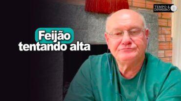 Feijão tentando alta, Brandalizze explica