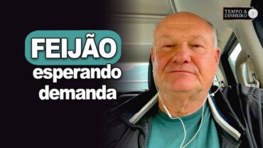 Feijão esperando demanda, informa Brandalizze