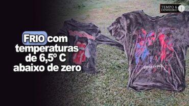Frio com temperaturas de 6,5º C abaixo de zero. Veja as impressionantes imagens em São Joaquim, SC