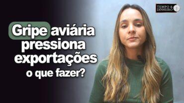 Gripe aviária pressiona exportações e aumenta disponibilidade de carne no mercado interno