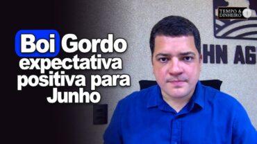 Boi gordo começa semana lento mas com expectativa positiva, informa Hyberville Neto