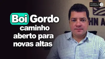 Boi gordo tem caminho aberto para novas altas, afirma Hyberville Neto